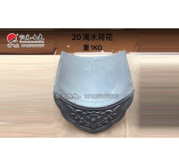 20荷花滴水