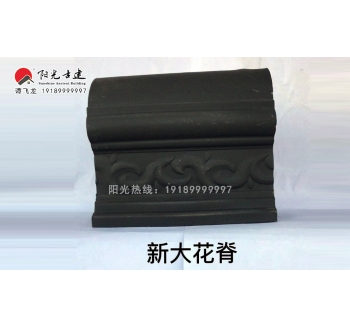 脊-全